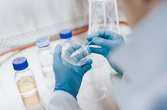 BIO Industry Analysis Report: The State of Innovation in Antibacterial Therapeutics