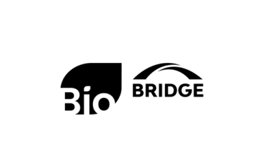 BIO BRIDGE
